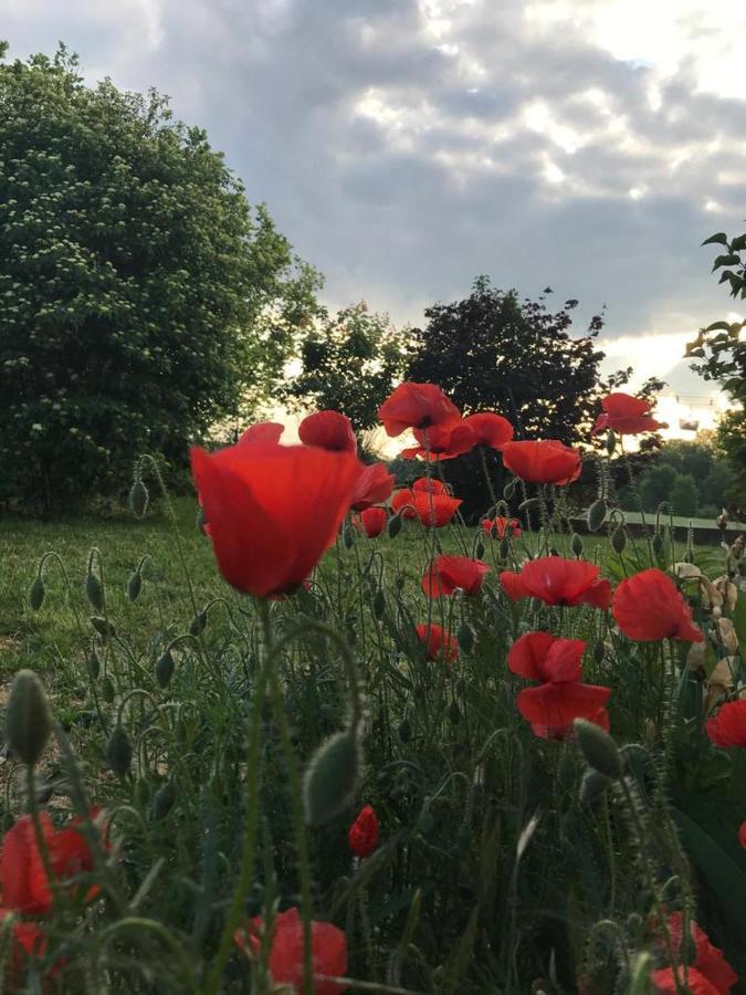 Chambre Is Is-sur-Tille Dış mekan fotoğraf